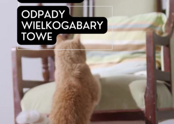 zdjęcie: odpady wielkogabarytowe np fotel