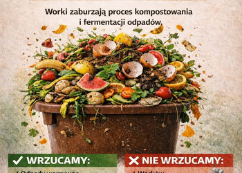 Plakat kampanii 